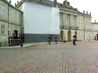 releve garde danemark