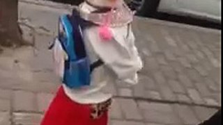 Cute Clever Dog Walking on Two Legs - China