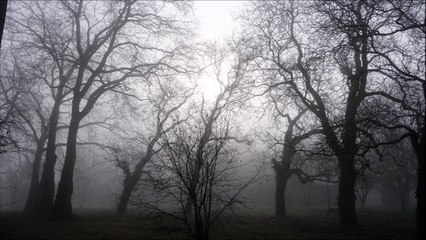 Semaine Sainte : les lamentations de Jérémie (extrait)