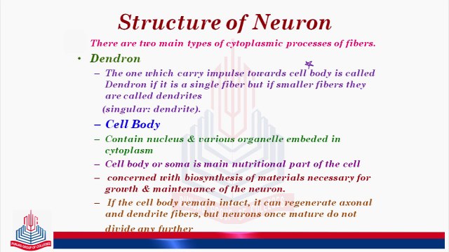 Structure of Neurons & Variety of Neurons types in human being