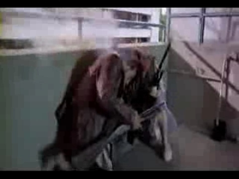 Sniper - La France