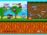 The Best Video Games EVER! - Tiny Toon Adventures Review  TINY TOON ADVENTURES Old Cartoon