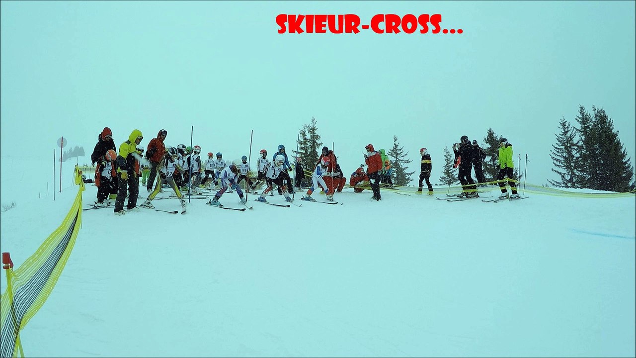 titou's cup 2016
