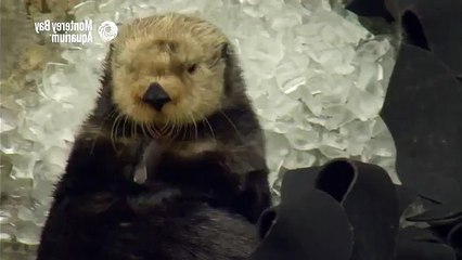 [추천]수원안마(010/5946/03➐➐)24시가능샵￡수원마사지