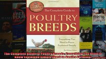 The Complete Guide to Poultry Breeds Everything You Need to Know Explained Simply Back