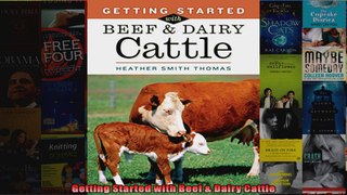 Getting Started with Beef  Dairy Cattle
