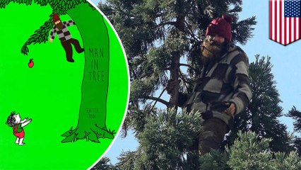 Seattle man climbs 80ft tree, refuses to come down for over 24 hours
