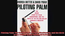 Piloting Palm The Inside Story of Palm Handspring and the Birth of the BillionDollar