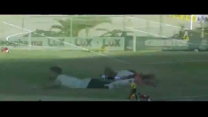 Futbol sahasında arı istilası!