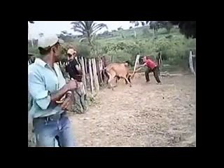 يہ بہت کمال کي آئٹم ہے- آنکھيں دنگ رہ جائيں
