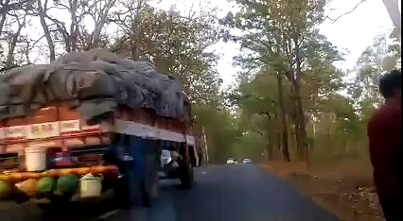 4 indiens jettent des pierres sur des Elephants... Quelle cruauté et bêtise !