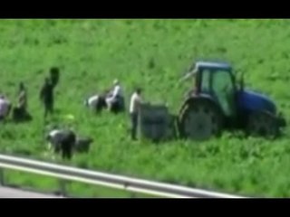 Cosenza - False disoccupazioni, maternità e malattie: 157 denunce (29.03.16)