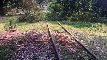 Forgotten Rail Singapore Jurong Railway Bridge