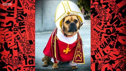 Have I Got A Bit More News For You S50E01- Hosted by Jeremy Clarkson 23