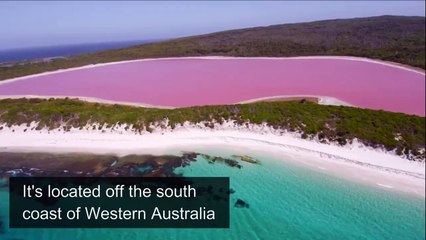 Real Pink Lake In Australia