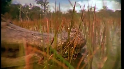 Journey into Amazonia documentary54