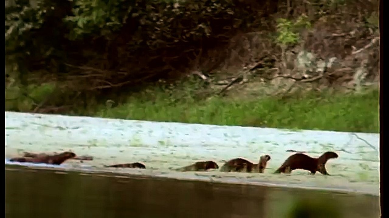 Journey into Amazonia documentary55