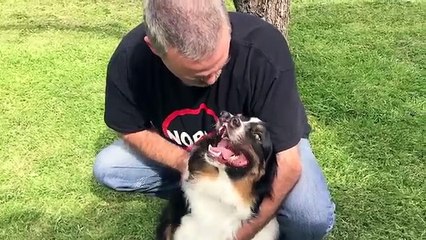 Un chien particulier avec deux museaux