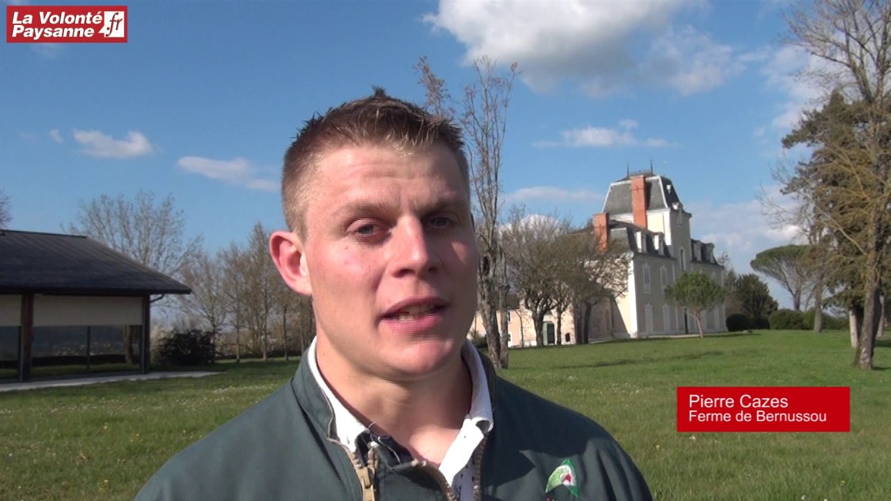 Technique du pâturage tournant à Bernussou