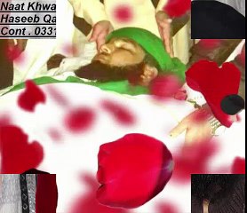 Mere Mumtaz Zinda Bad By Haseeb Qadri Attari