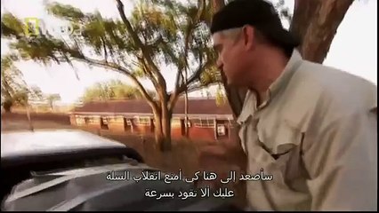 King Cobras documentary films HD5
