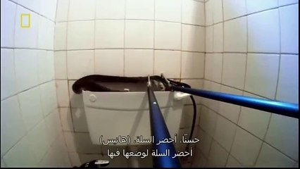 King Cobras documentary films HD8