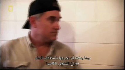 King Cobras documentary films HD10