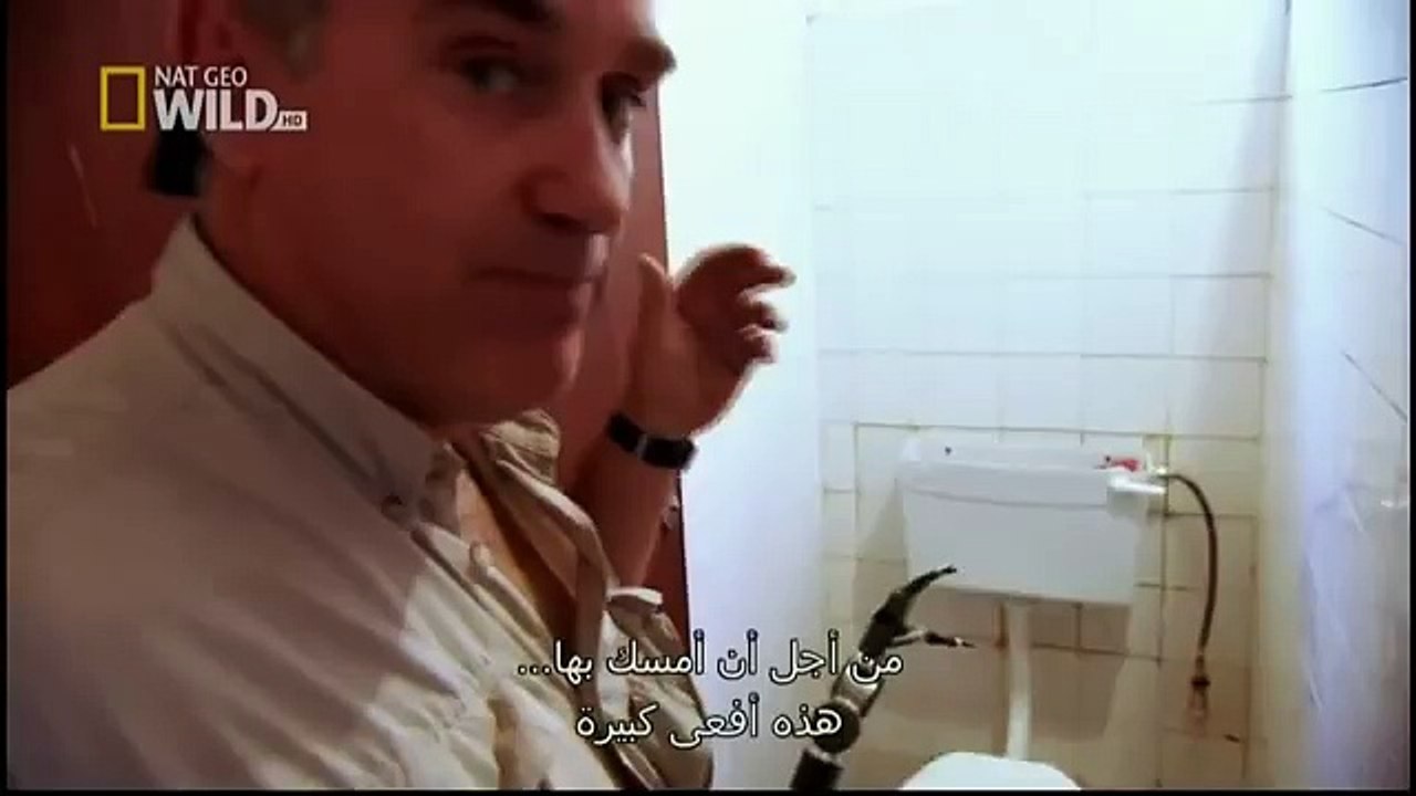 King Cobras documentary films HD12
