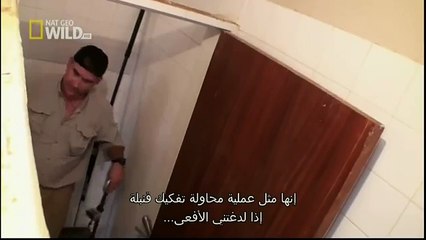 King Cobras documentary films HD13