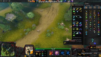 Огромная помощь мидеру! (7)