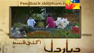 Diyar E Dil Episode 23 Promo HUM TV