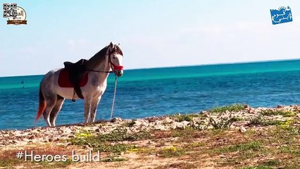 9oum Ebni - Graffiti Mednine