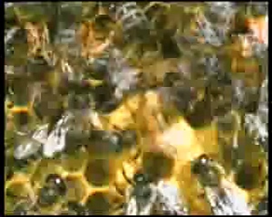 WUNDERBARE GESCHÖPFE I - DOKUMENTE ZUR TATSACHE DER SCHÖPFUNG