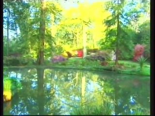 DIOS ES CONOCIDO A TRAVES DE LA RAZON