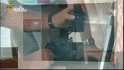 King Cobras documentary films HD28