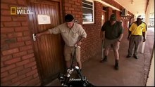 King Cobras documentary films HD30