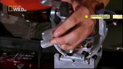 King Cobras documentary films HD39