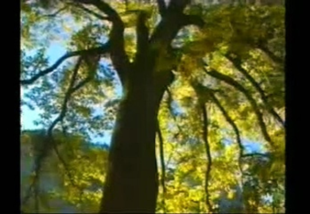 PËRGJIGJE NGA KURANI 3