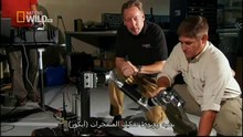King Cobras documentary films HD40