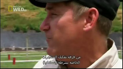 King Cobras documentary films HD45