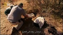 King Cobras documentary films HD52