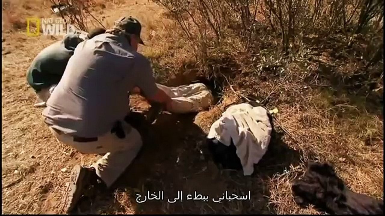 King Cobras documentary films HD52