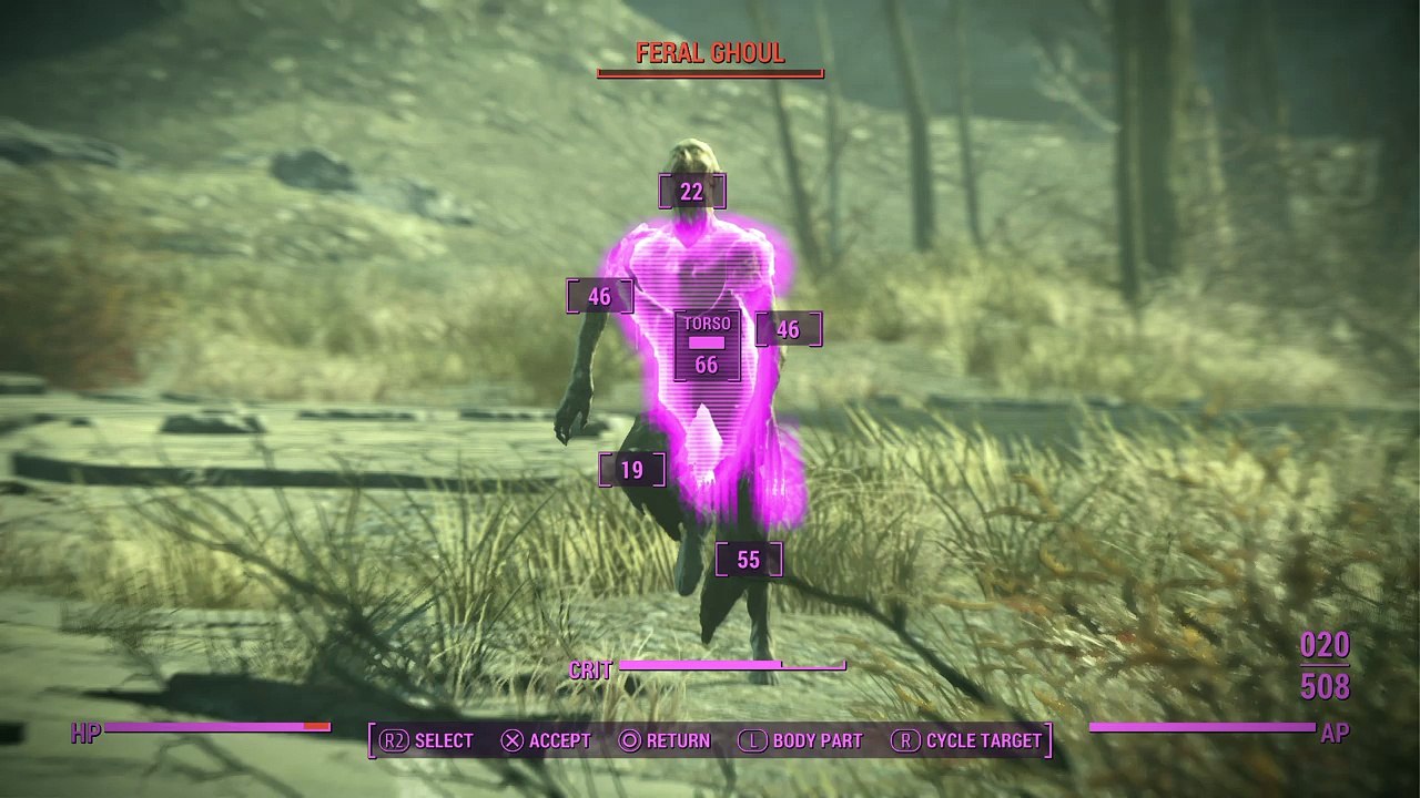 When ferals dont run correctly