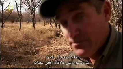 King Cobras documentary films HD74