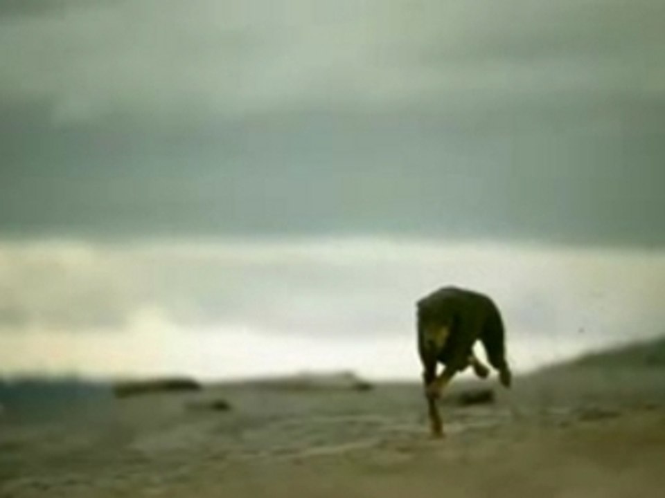Phantom HD video