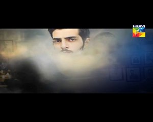 Zindagi Tujh Ko Jiya Episode 22 HUM TV Drama 29 March 2016 P1