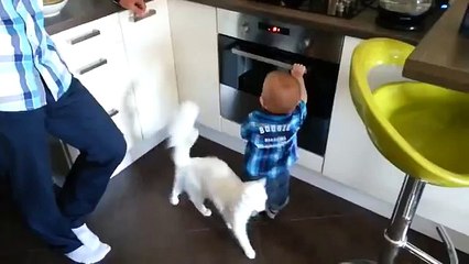 Ce bébé voulait mettre sa main au four... Ce que fera ce chat est salutaire !