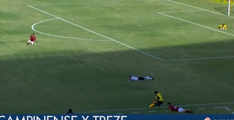 Une invasion d’abeilles oblige des joueurs de foot à arrêter leur match (vidéo)