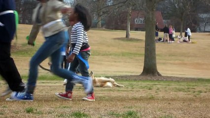 Lazy Dog Doesn't Want To Leave The Park