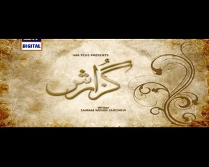 Guzaarish Episode 20 on Ary Digital 29th March 2016 Part 2